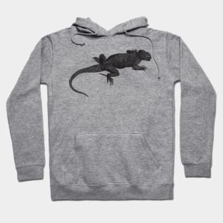 Lizard Nature Drawing Hoodie